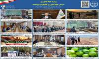 بولتن خبری هفته آخر شهریور ماه ۱۴۰۵ روابط عمومی سازمان جهاد کشاورزی کهگیلویه و بویراحمد